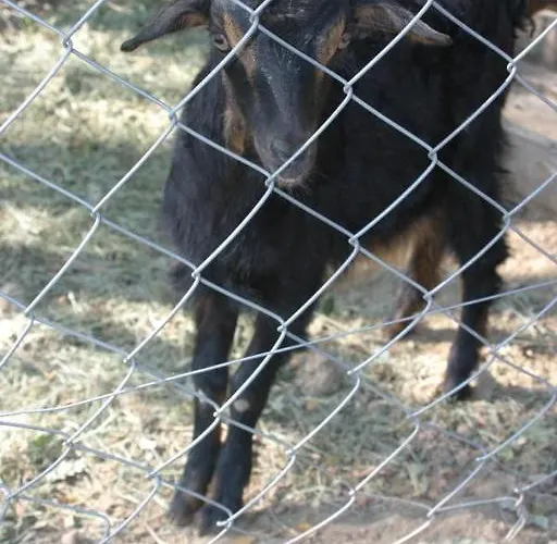 Doga Sara Butik 招待所 Akoren